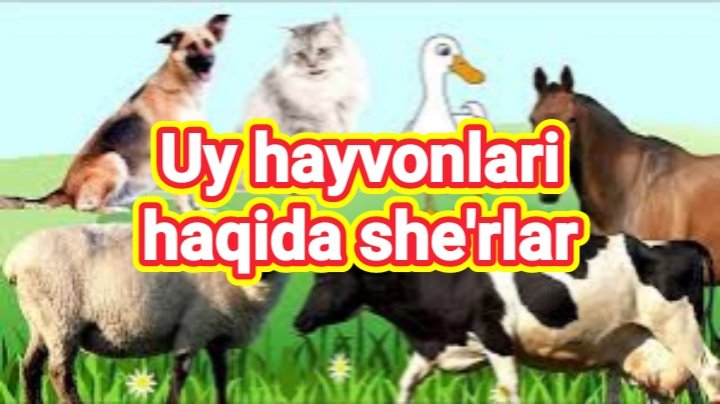 Uy hayvonlari haqida she'rlar