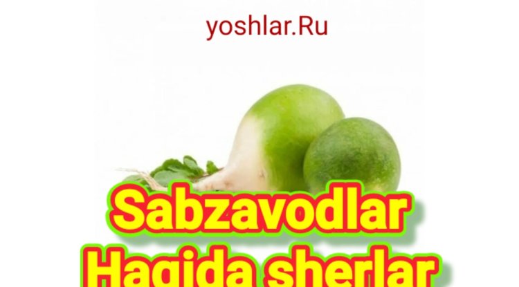 Sabzavodlar haqida sherlar bolalar uchun